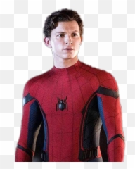 Spider Man Arms Crossed Png Image Spiderman Transparent Free