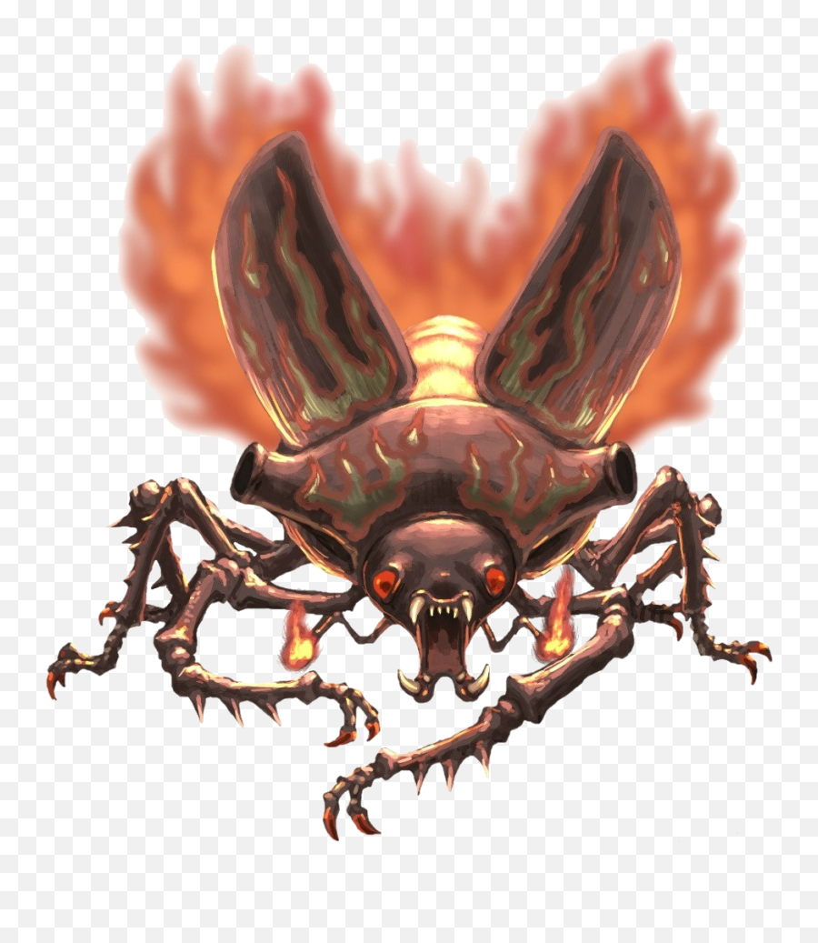 Beetle Png Download Image - Giant Fire Beetle Png,Beetle Png