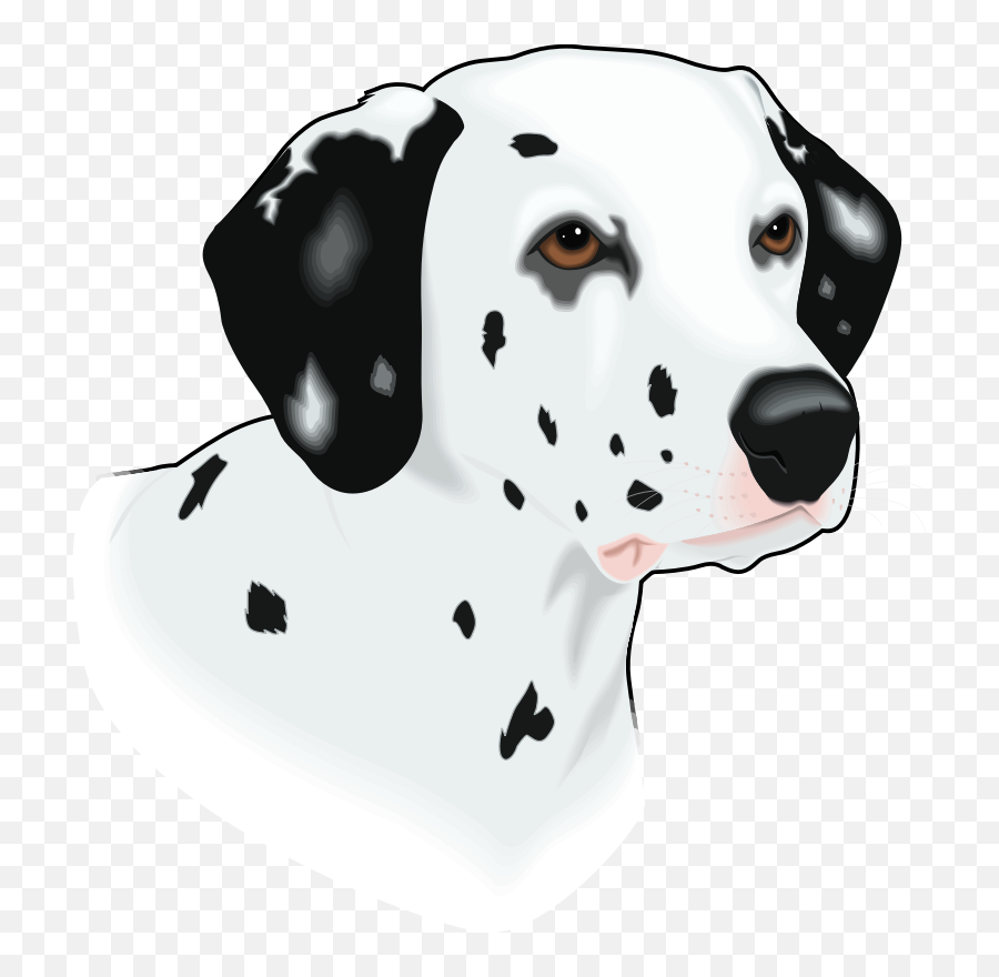 Head Dog Pet - Free Vector Graphic On Pixabay Dalmatian Face Cartoon Png,Dog Head Png