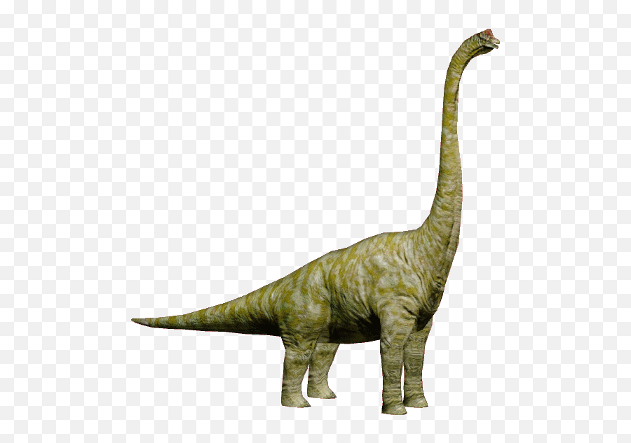 Brachiosaurus Png 4 Image