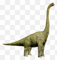 Brachiosaurus Png 4 Image