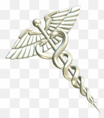 P3din - The Caduceus Emblem png