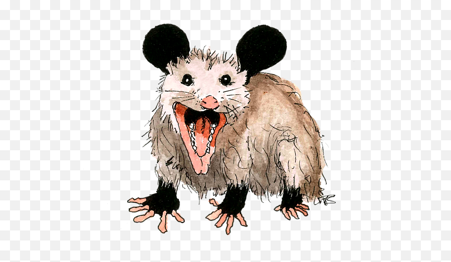Opossum T - Shirt Mouse Png,Opossum Png