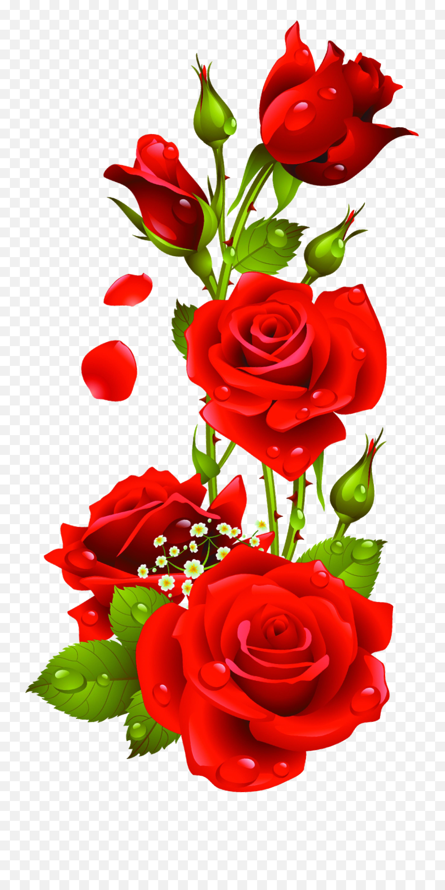 Red - Rose Flower Images Download Png,Rose Flower Png