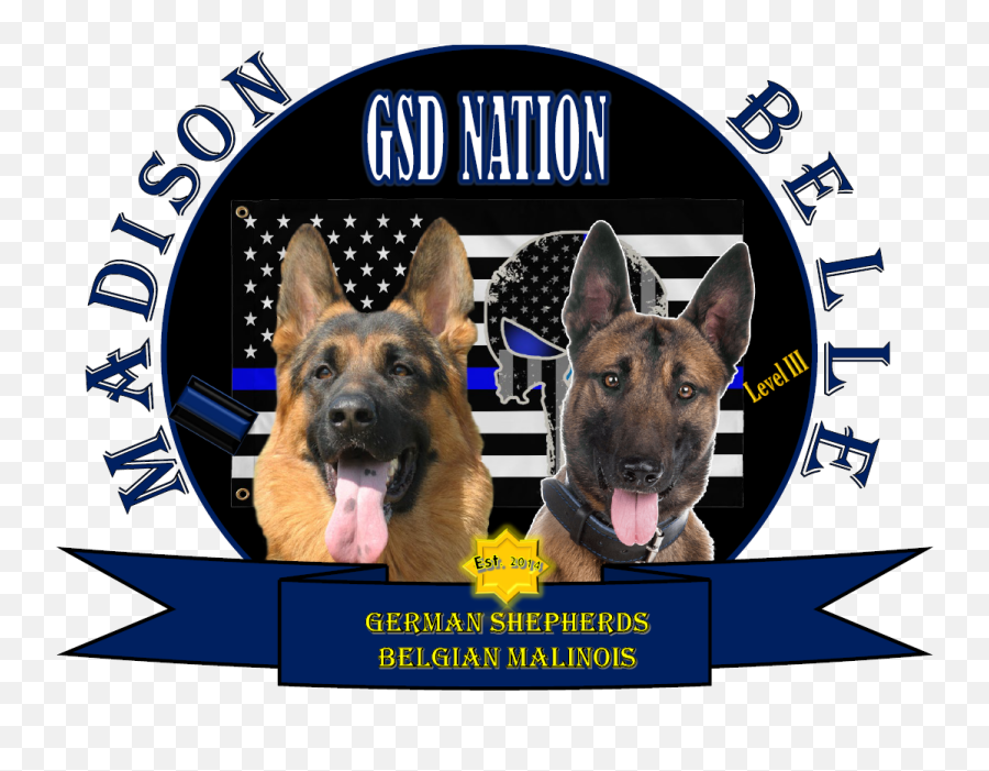 Madison Belle German Shepherds - Devin The Dude Hi Life Png,German Shepherd Png