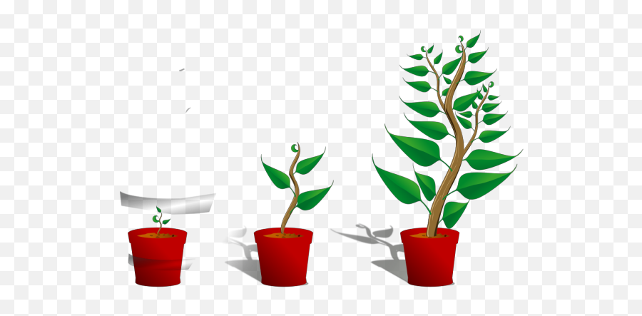 Plant Growth Png Svg Clip Art For Web - Download Clip Art Getting To Know Plants,Growth Png