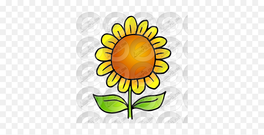 Sunflower Picture For Classroom Therapy Use - Great Illustration Png,Sunflower Png Transparent