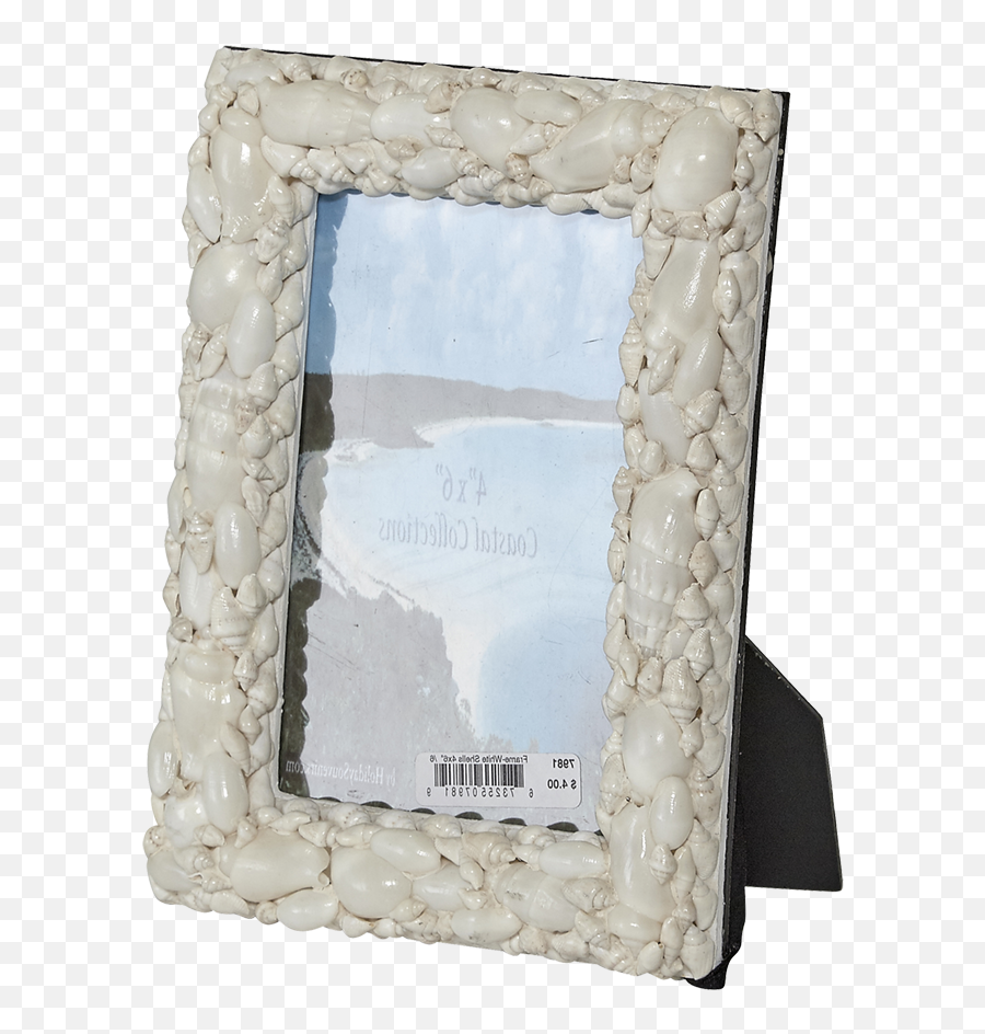 Download White Shells Photo Frame 4x6 - Picture Frame Png,Glass Pane Png