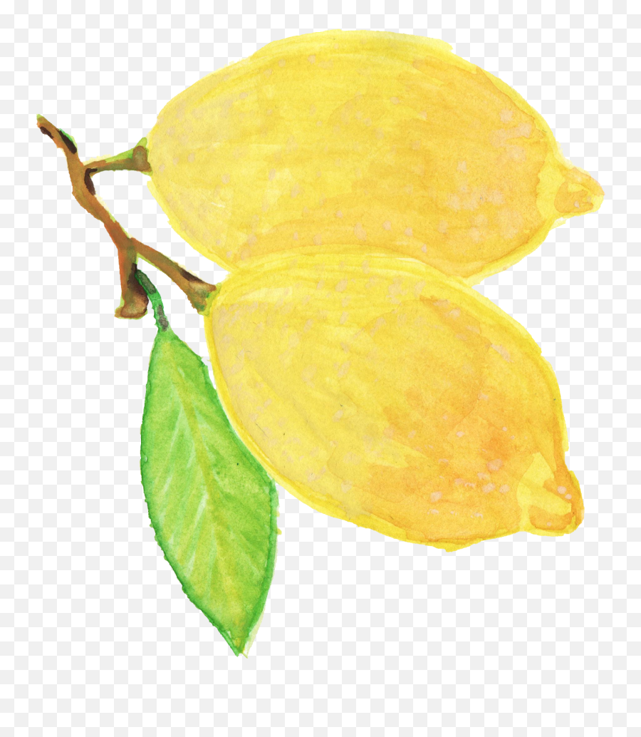 Watercolor Lemon Png Transparent Onlygfxcom - Png Watercolor Yellow Flower,Watercolor Tree Png