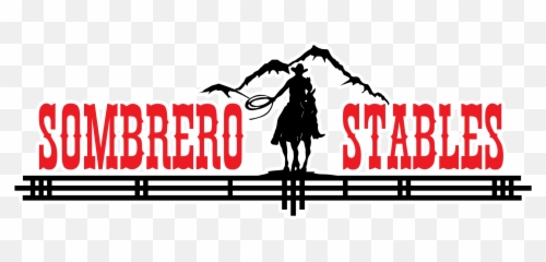 Colorado Mountain Horseback Riding - Stallion Png,Star Stable Logo