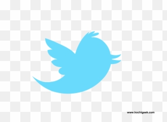 Free transparent twitter logo png transparent background images, page 1 -  