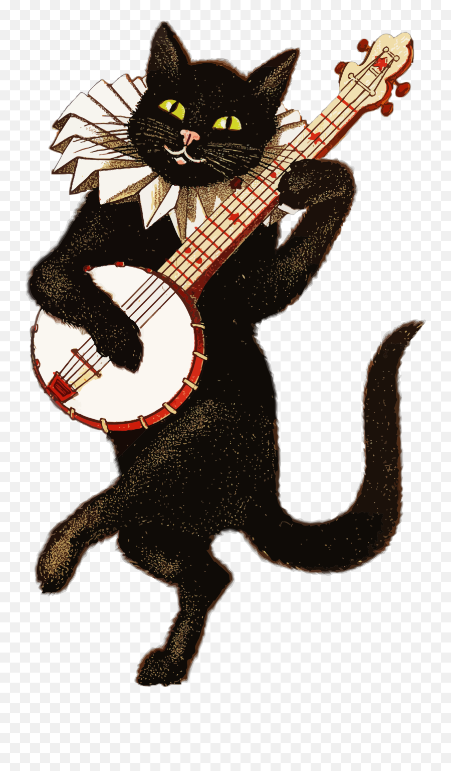 Cat T - Cat Playing Banjo Png,Banjo Png