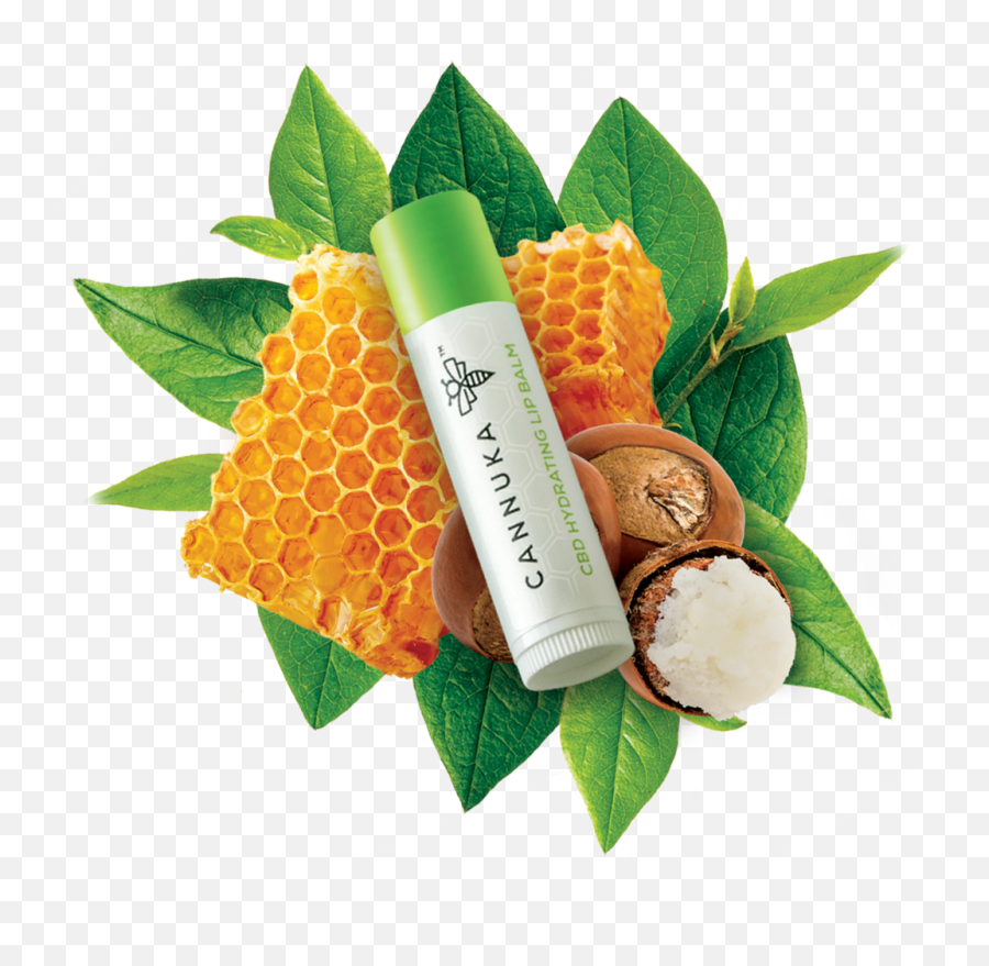Chapstick Png - Superfood,Chapstick Png
