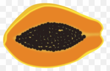 Free Papaya Png Download Clip Art - Papaya Png Vector,Papaya Png