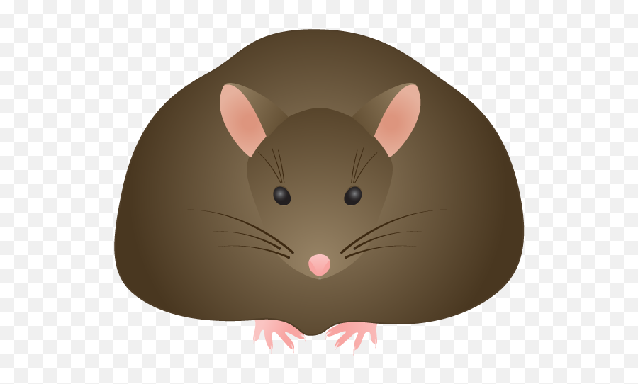Brown Mouse Clip Art - Fat Rat Clipart Png,Rat Transparent Background