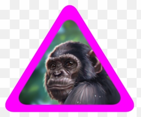 The Story Of Wildeverse - Monkey Png,Chimpanzee Png