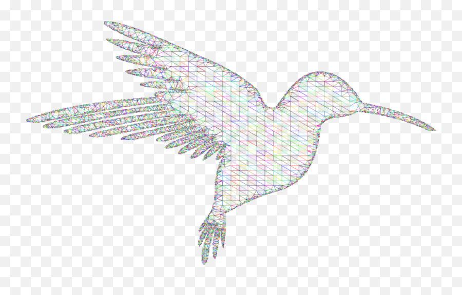 Hummingbird Low Poly Wireframe - Free Vector Graphic On Pixabay Png,Hummingbird Png
