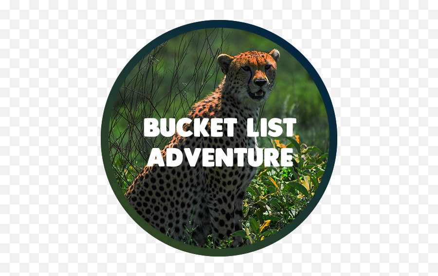Tanzania Adventure Tours - Wildlife Png,Adventure Png