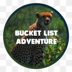 Tanzania Adventure Tours - Wildlife Png,Adventure Png