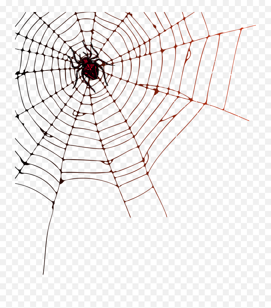 Spider Web Png Transparent Background Webs