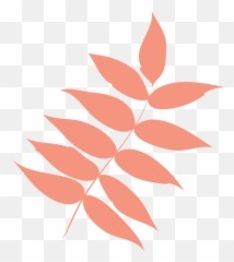 Free Photo Leaf Autumn Dry - Folha Seca Desenho Png