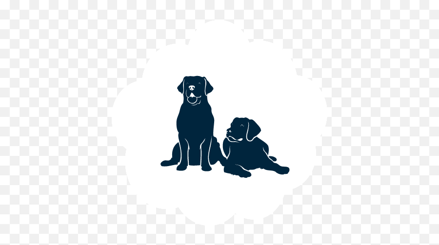 Pet Bed Selector - Two Dogs Icon Transparent Png,Dog Icon Transparent