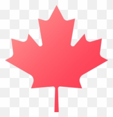News Virocule - Canada Leaf Png