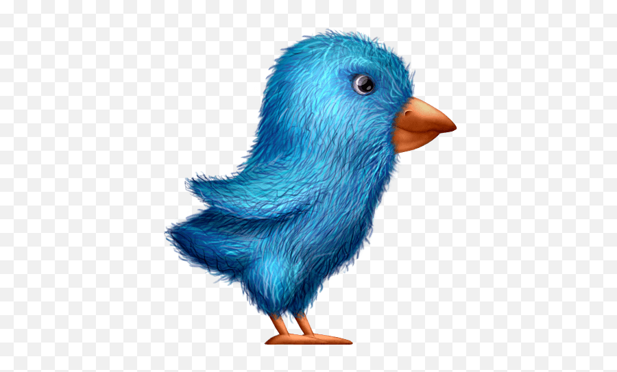 Plush - Twitterbird Free Download Icon Png,Size Of Twitter Icon
