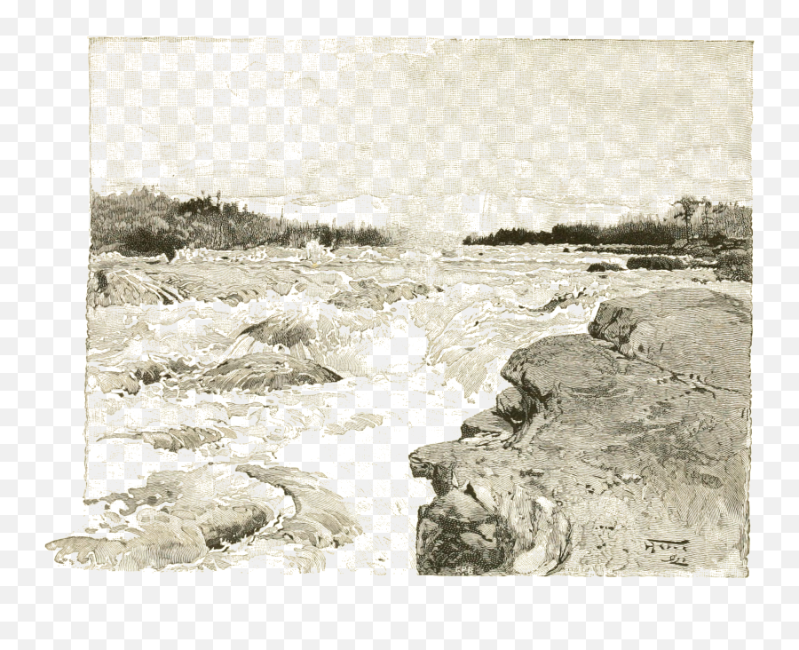 Rapids Above The Grand Falls - Shore Png,Tree From Above Png