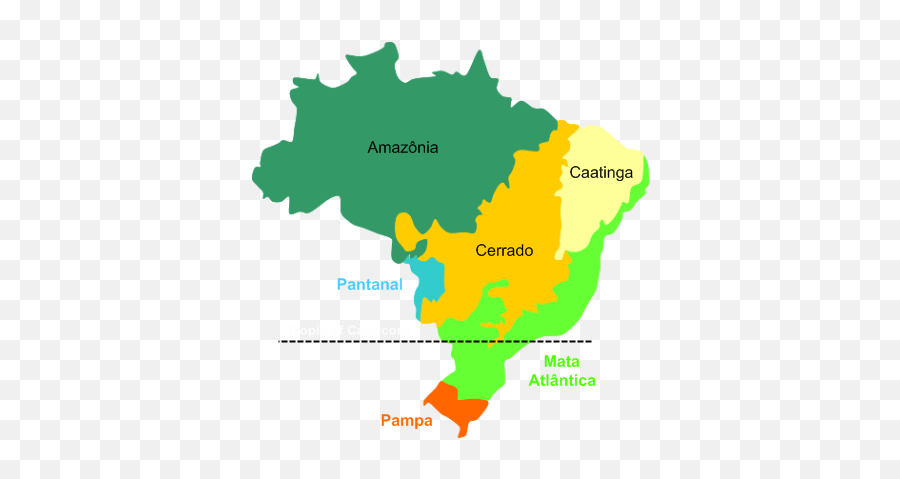 Brazil Biomes Rgeoguessr - Biomes Of Brazil Png,Brazil Map Icon