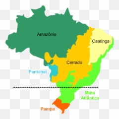 Brazil Biomes Rgeoguessr - Of png