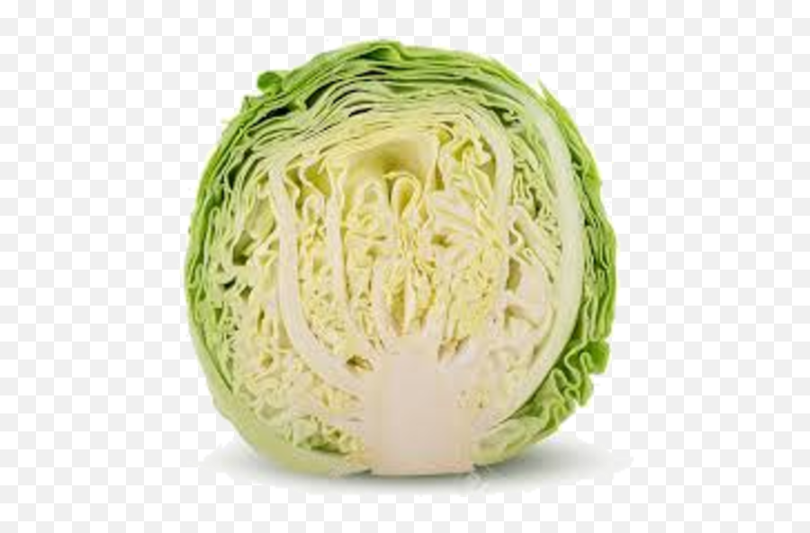 Download Free Photos Cabbage Organic Half Clipart Hd Png Icon