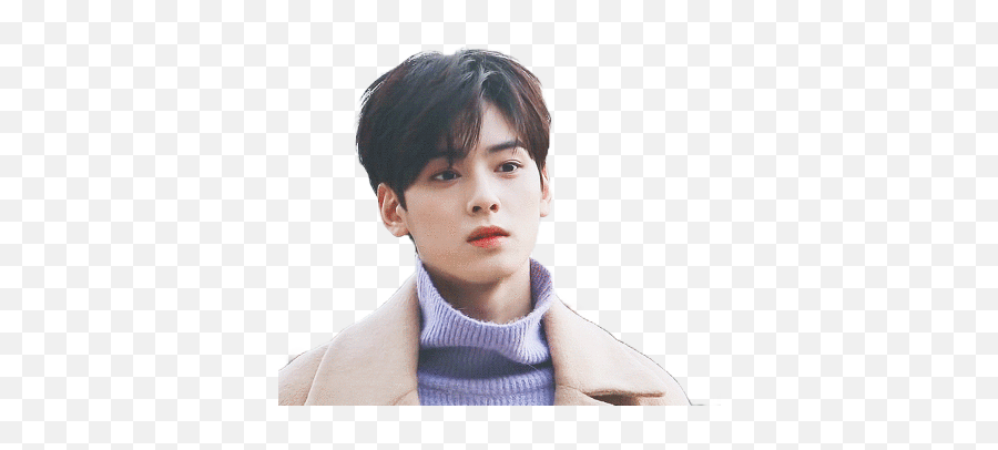 33 Eunwoo Ideas Cha Eun Woo Astro Png Kim Ji Won And Park Seo Joon Icon