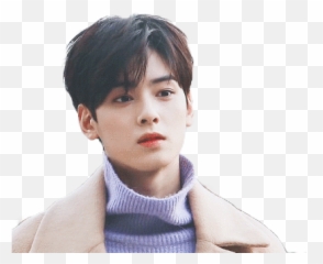 33 Eunwoo Ideas Cha Eun Woo Astro Png Kim Ji Won And Park Seo Joon Icon