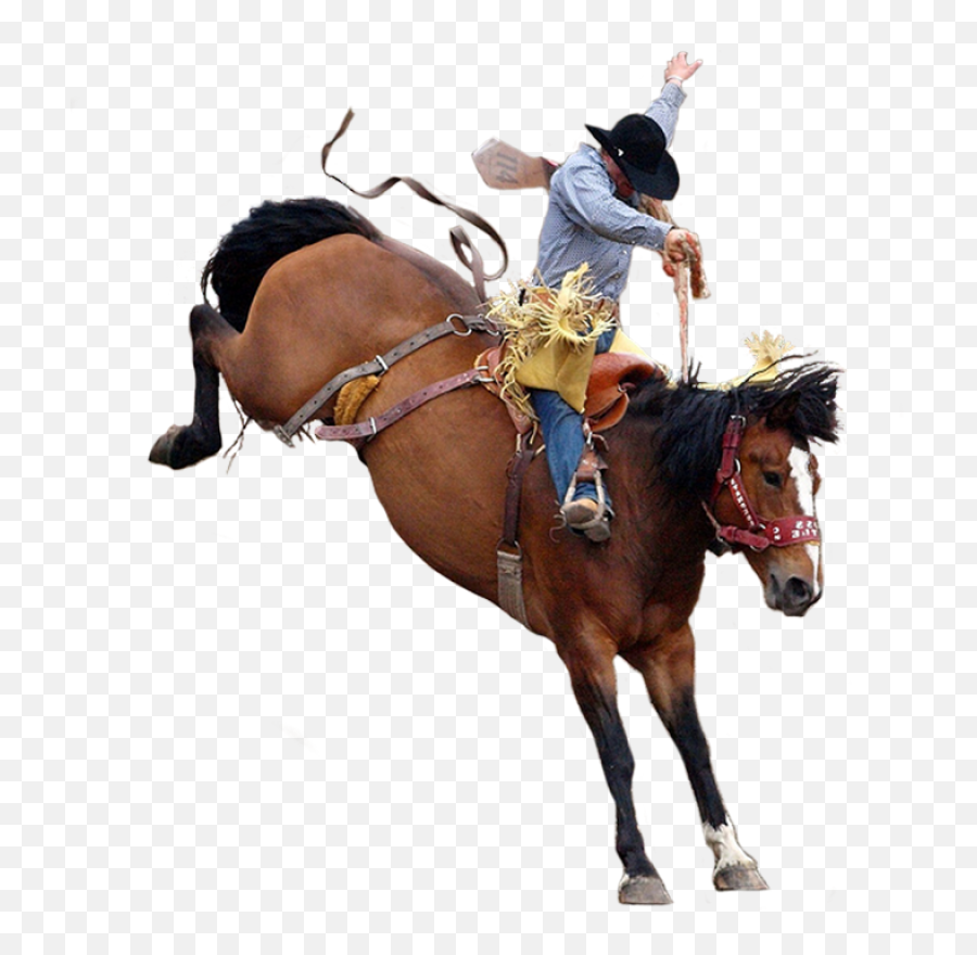 Cowboy Png - Rodeo Png,Cowboy Png