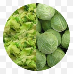 Pu0026d Export Png Cabbage