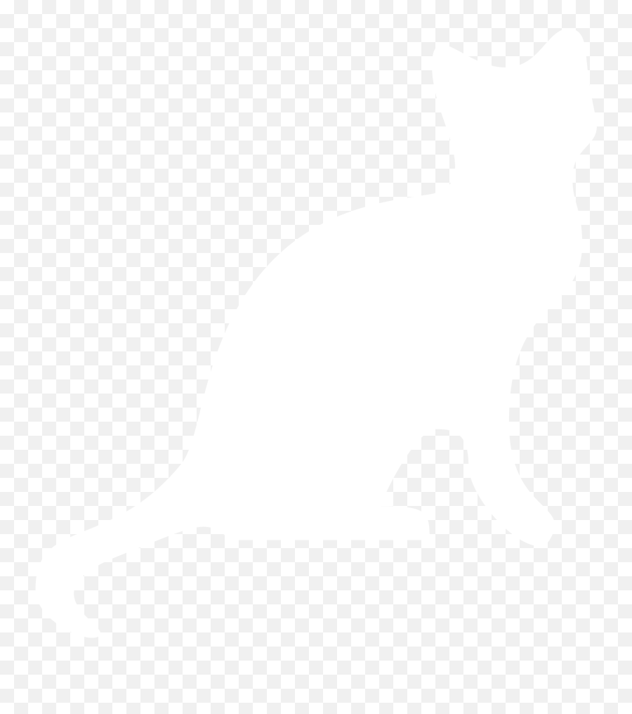 Library Of Picture Transparent White Cat Png Files - Cat Clipart White Png,Cat Png Transparent