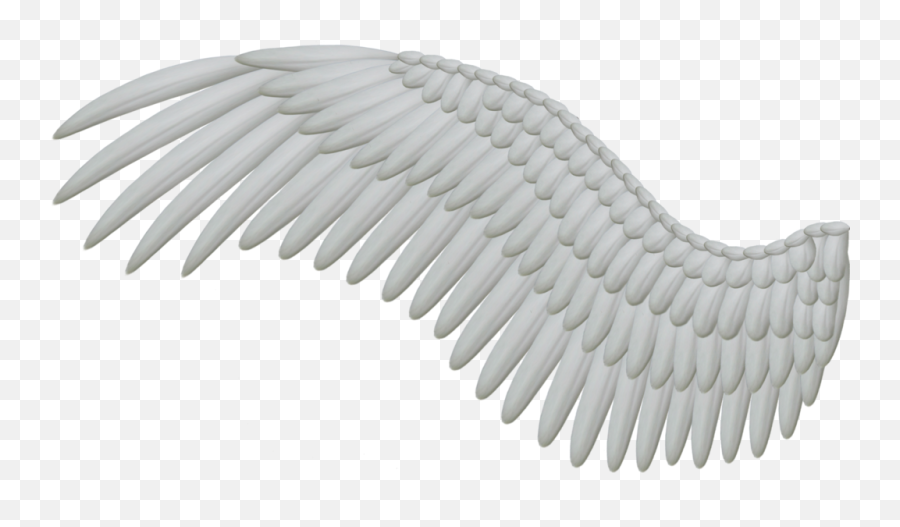 Wings Png Hd - Angel Wing Png,Wing Png