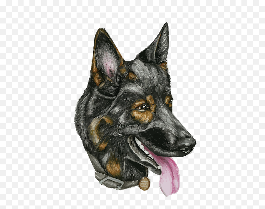 Pin By Pngsector - Png German Shepherd Sketch Head,Dog Head Png