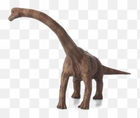Brachiosaurus Png Photos - Transparent Brachiosaurus Png,Brachiosaurus Png
