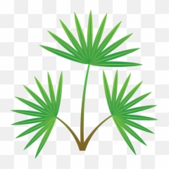 Maple Leaf U2013 Vector Images Icon Sign And Symbols - Portable Network Graphics png
