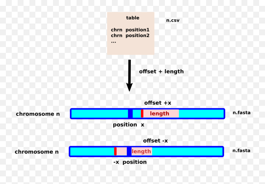 Download Hd Chromosome Transparent Png Image - Nicepngcom Screenshot,Chromosome Png