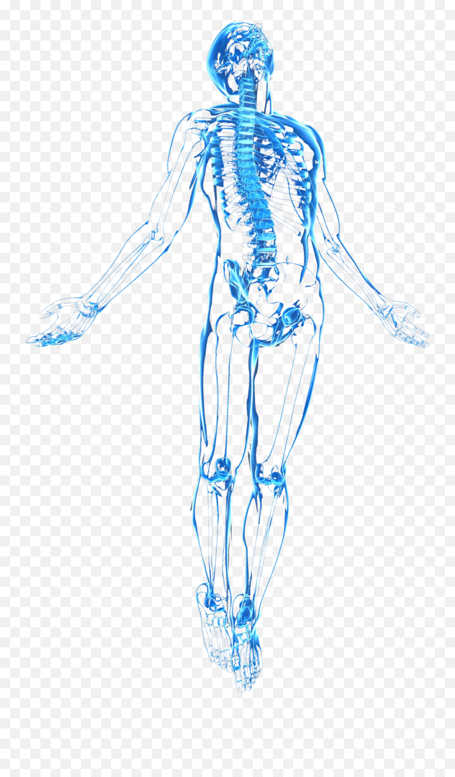Index Of Img - Transparent Human Body Png,Human Body Png