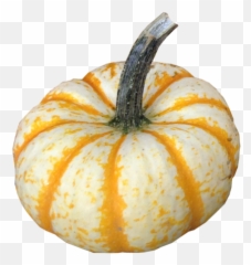 Lil Pump Ke Mon - Pump Ke Mon Pumpkin Png,Lil Pump Png