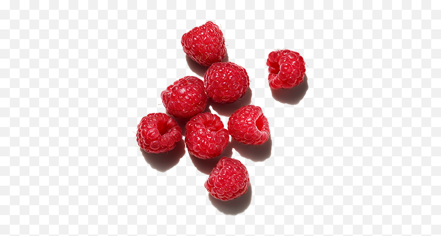 Best Ingredients For Hair Raspberry Oil Prose - Seedless Fruit Png,Raspberries Png