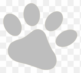 White Paw Print Transparent Background Best Png