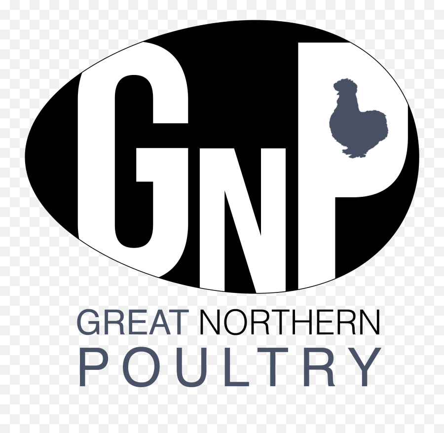 Great Northern Poultry U2013 Creators Of The Black Namoi Chicken - Great Northern Poultry Ducks Png,Chicken Logo