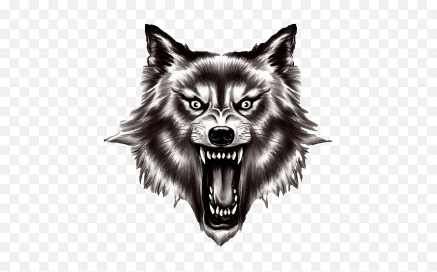 Wolf Head Transparent Background - Transparent Background Wolf Head Png,Wolf Head Png