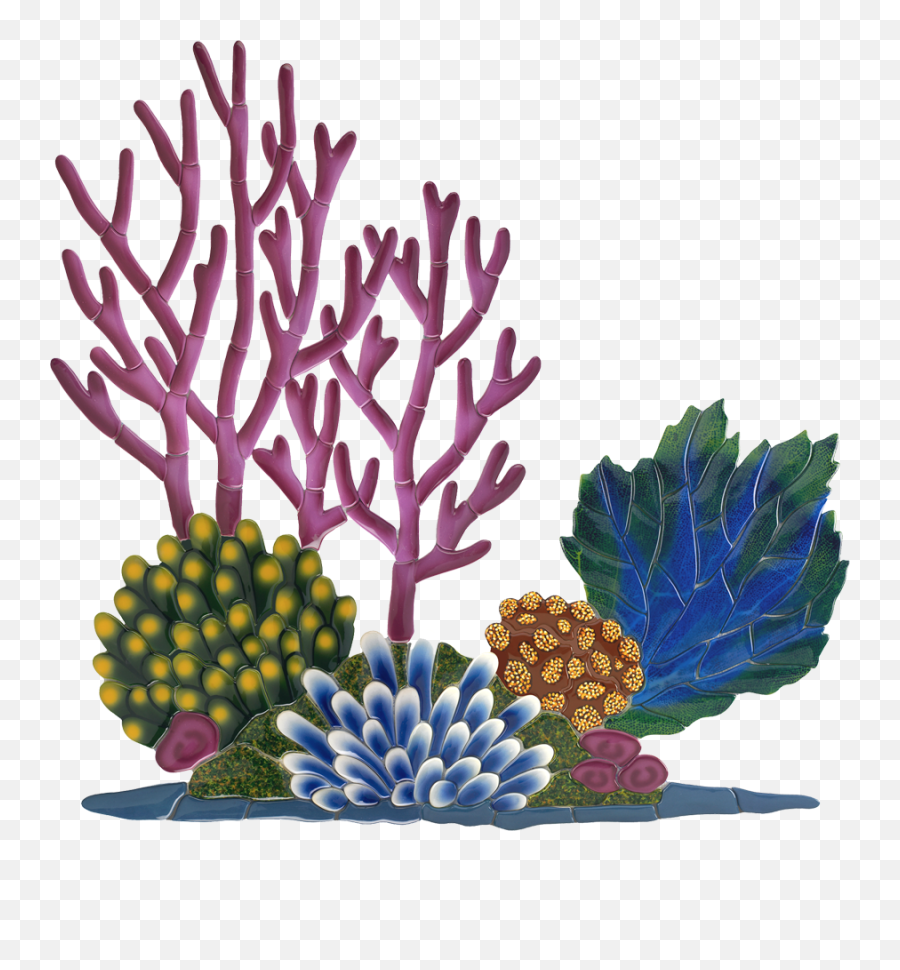 Coral Reef Clipart Hd Png Download - Coral Reefs Clipart,Coral Reef Png
