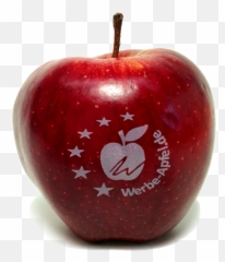 Logo - Logo Printed On Fruit Png,Fruit Logo